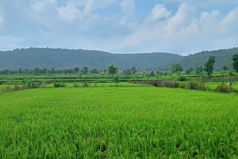 Diageo India Launches Regenerative Agriculture Programme Aimed At Reducing Carbon, Water Footprint In Its Supply Chain